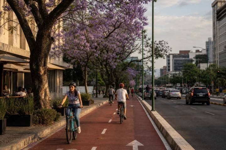 Ciclovías en red, no tramos sueltos